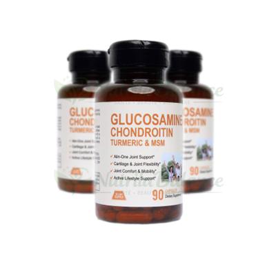 Glucosamine Chondroitin — product photo
