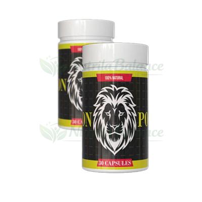 Lion Power — photo du produit
