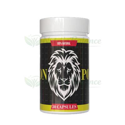 Lion Power