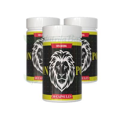 Lion Power — photo du produit